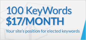 100 keywords for $17 a month