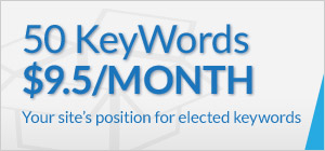 50 keywords for $9.50 a month